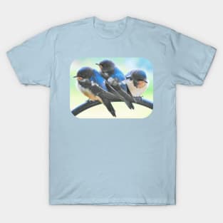 Swallows-8 Rd T-Shirt